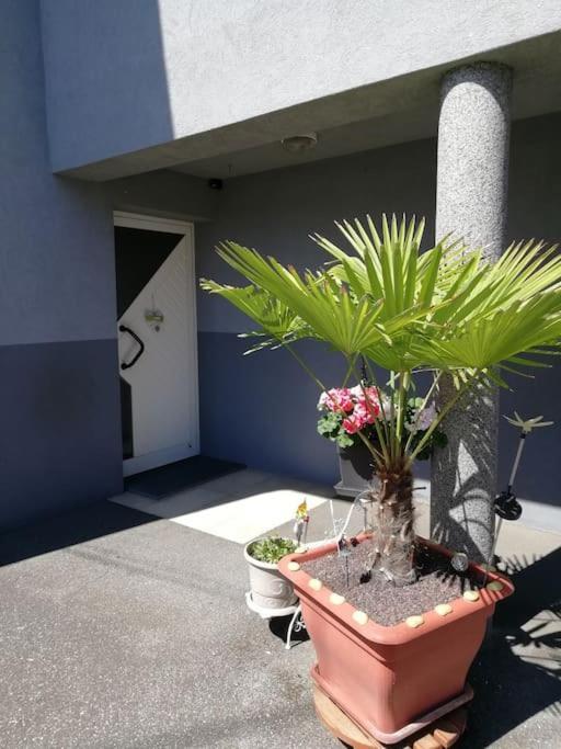 Appartement Agreable อาเกอโน ภายนอก รูปภาพ