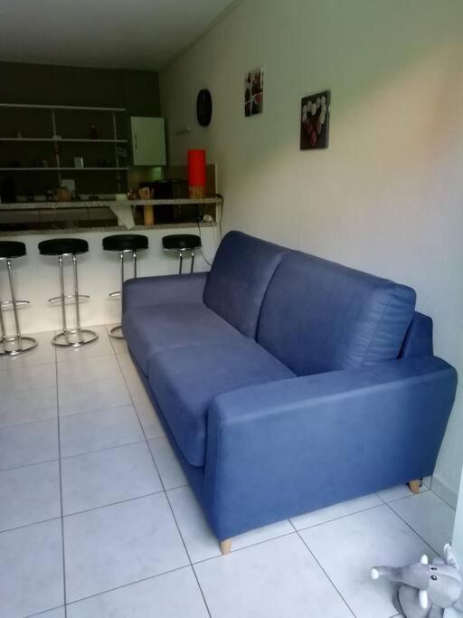 Appartement Agreable อาเกอโน ภายนอก รูปภาพ